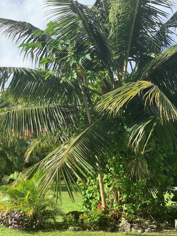 Bella Casa Villa Đảo Đảo Rarotonga Ngoại thất bức ảnh
