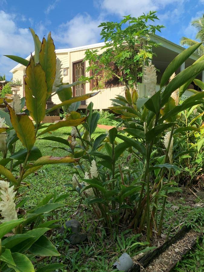 Bella Casa Villa Đảo Đảo Rarotonga Ngoại thất bức ảnh